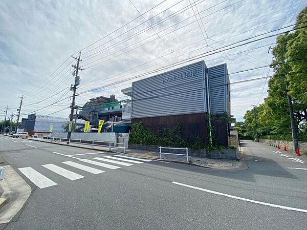 周辺を拡大表示