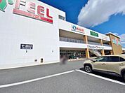 フィール 三郷店（465m）