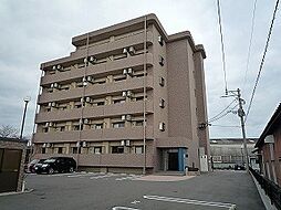 ベゼルファセット