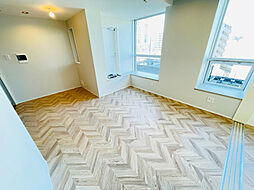 レジディアタワー麻布十番 10階ワンルームのリビング/ダイニング