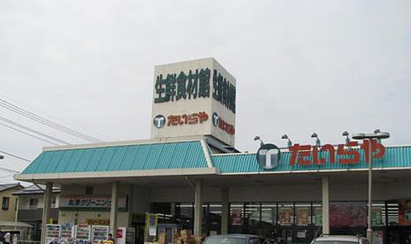 画像26:たいらや川田店(スーパー)まで587m