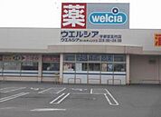 ウエルシア宇都宮五代店(ドラッグストア)まで1545m