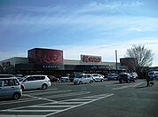 かましん雀宮店(スーパー)まで2655m
