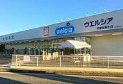 ウエルシア宇都宮駒生店(ドラッグストア)まで1164m