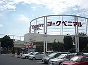 ヨークベニマル石橋店(スーパー)まで2086m