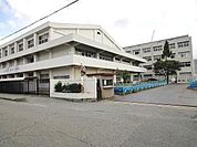 小学校「尼崎市立大島小学校まで459m」