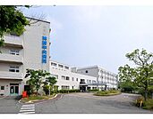 病院「神崎病院まで361m」