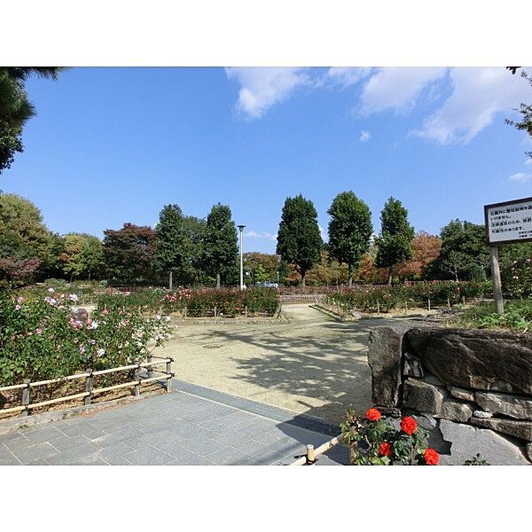 画像29:公園「大井戸公園まで347m」