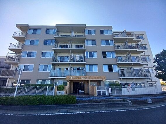外観はマンショ...