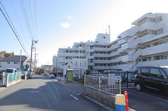 外観はマンショ...