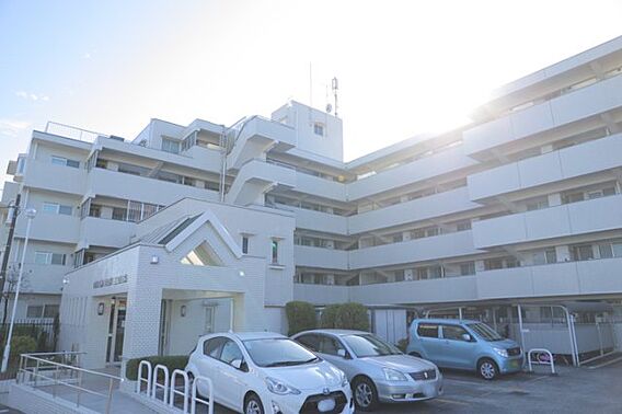 外観はマンショ...