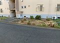 ラウンジは、マ...
