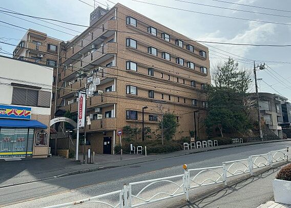 外観はマンショ...