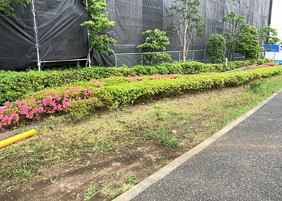 中庭（パティオ...