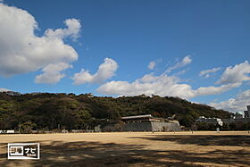 アリビオ歩行町 901 ｜ 愛媛県松山市歩行町2丁目（賃貸マンション1LDK・9階・42.17㎡） その24