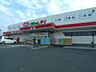 周辺：くすりのレデイ和泉店(ドラッグストア)まで550m