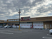くすりのレデイ西条店(ドラッグストア)まで774m