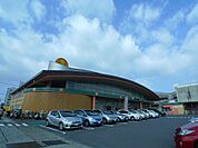 太陽市(スーパー)まで650m