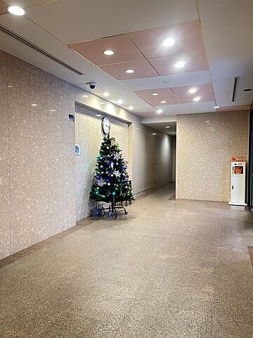 エントランス マークス亀戸 3階/312