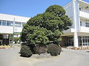 四街道市立旭中学校