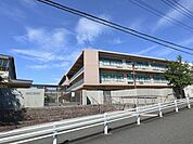 中学校「横浜市立早渕中学校まで979m」