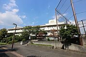 小学校「横浜市立つづきの丘小学校まで856m」