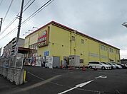ショッピング施設「ドンキホーテまで230m」
