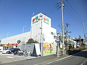 その他「マルエツまで1400m」