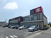 レンタルビデオ「ＴＳＵＴＡＹＡまで990m」