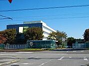 大学「作新学院大学まで3200m」