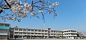 小学校「市立駒形小学校まで260m」