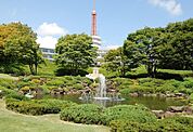 大学「私立東海大学湘南キャンパスまで1300m」