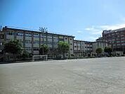 小学校「小田原市立豊川小学校まで538m」