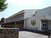 小学校「小田原市立新玉小学校まで670m」