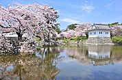 公園「小田原城址公園まで1059m」