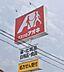 周辺：ドラッグストア クスリのアオキ本磐城守山店　徒歩約16分（1278ｍ）