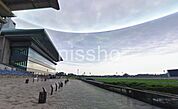 東京競馬場