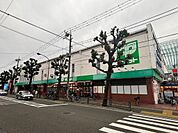 サミットストア桜店　徒歩約６分　４５０ｍ