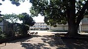 大曽根小学校 1100m