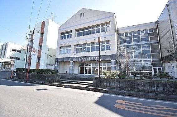 桜中学校 12...