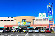 molive（モリーブ）（2529m）