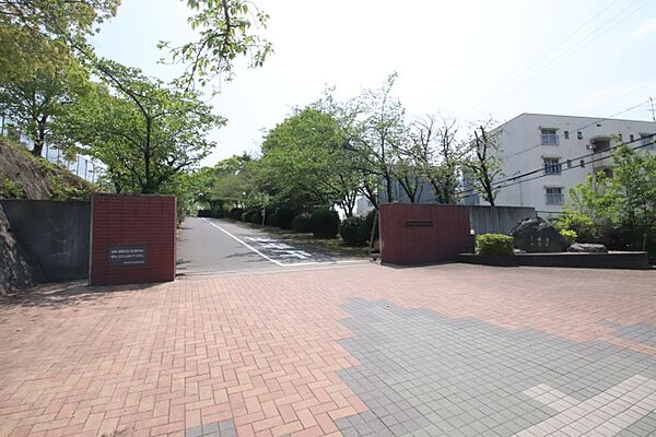 画像18:愛知県立緑丘高等学校