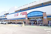 フィール　シャンピアポート店