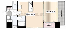AURUM 1LDKの間取図画像