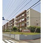 愛知県名古屋市中川区一色新町2丁目：物件画像／株式会社洞口　ROOMSELECT本郷店