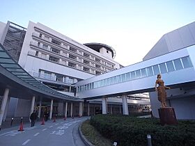 ウィステリア77  ｜ 愛知県名古屋市西区江向町１丁目（賃貸マンション1LDK・1階・48.63㎡） その28