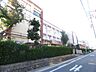 周辺：小学校「市立児玉小学校まで230m」