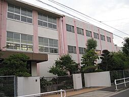 小学校「市立城西小学校まで790m」
