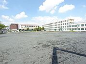 小学校「名古屋市立浮野小学校まで914m」
