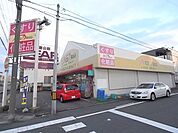 その他「ナイスドラッグまで1300m」